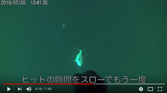 ジギングの上達に役に立ちそうな魚の捕食シーンなどの水中動画をまとめてみた ジギング魂